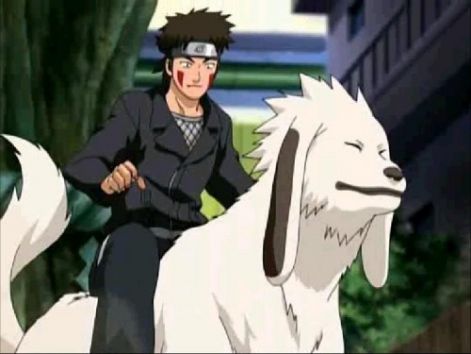 kiba_shippuden.jpg
