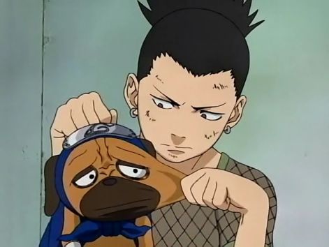 shikamaru_pakkun.jpg