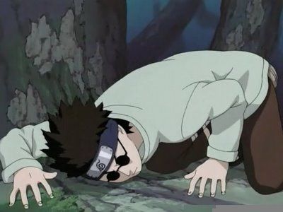 shino_bogar.jpg